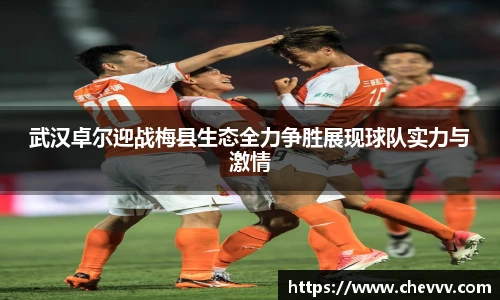 武汉卓尔迎战梅县生态全力争胜展现球队实力与激情